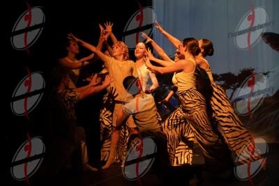 SHOW_00642.jpg